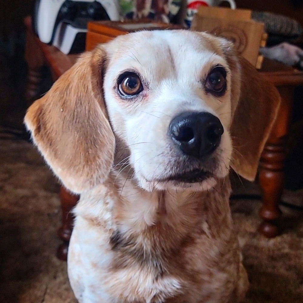 UPDATE Please Read - Picture 3 of 8